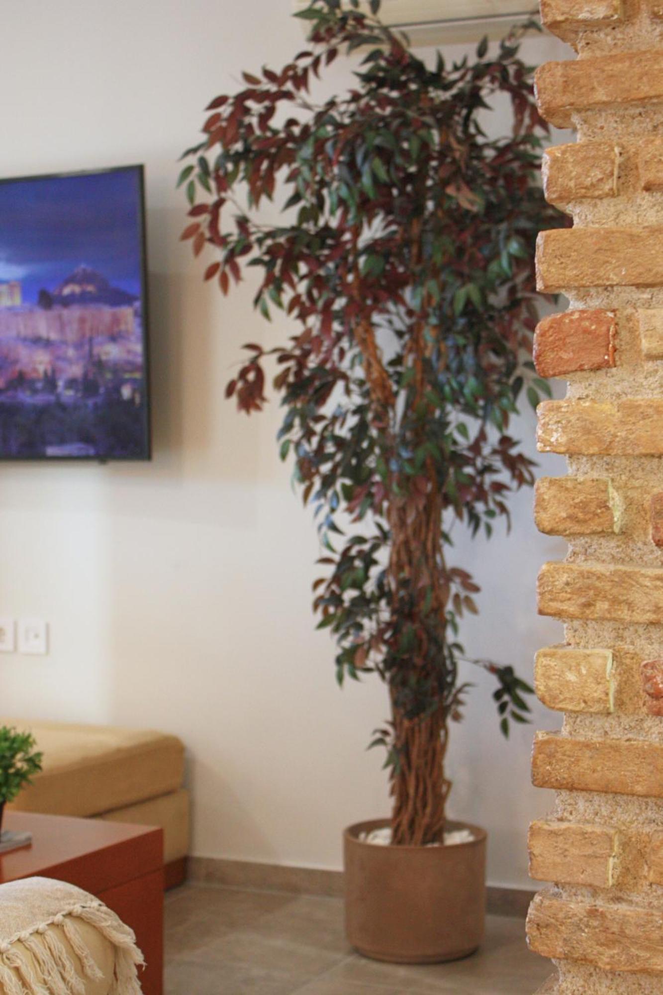 Camara Suite Κως Πόλη Εξωτερικό φωτογραφία